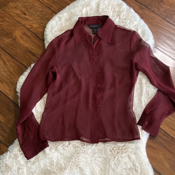 Express sheer button down blouse - Picture 1 of 5